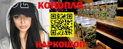сатива Краснокаменск