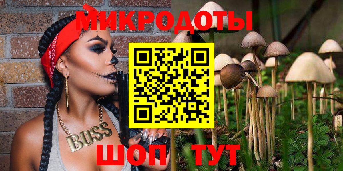 Псилоцибиновые грибы мухоморы  Вход с VPN  Псилоцибиновые грибы MAGIC MUSHROOMS  хочу   Кимры 